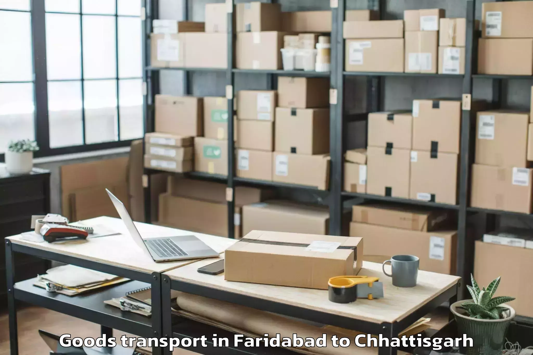 Easy Faridabad to Sarguja University Ambikapur Goods Transport Booking